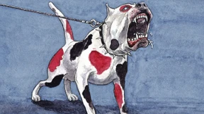 Das Unheil kommen sehen