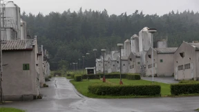 Die Schweinemast auf dem früheren KZ-Gelände