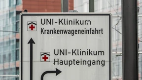 Elf Hanta-Virus-Fälle nach Ausbruch auf „Hondius“ gemeldet