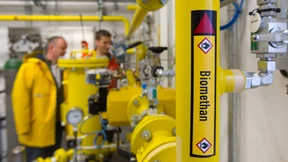 Holz und Stroh studieren