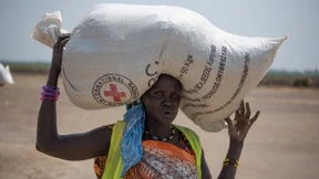 Der naive Revolutionär