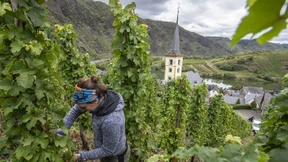 Der deutsche Champ holt auf