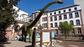 Die Welt blickt wieder mal auf Frankfurt