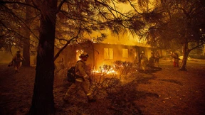 Waldbrände treiben größten amerikanischen Versorger in die Pleite