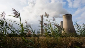 Viel Zucker, keine Peitsche