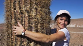 Mein bester Freund, der Kaktus