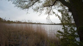 Eine Wiese nur für Hunde inklusive