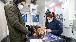 Was sie eint, ist die Liebe zum Tier