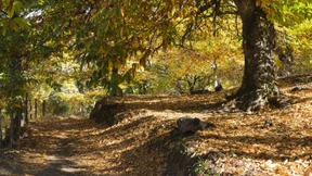 Anleihen könnten wieder interessant werden