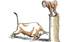 Sollen wir vielleicht schreien „Fuckin’ Trump!“?