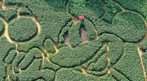 Disney erhöht die Preise