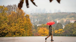 Keine Wut auf der Straße