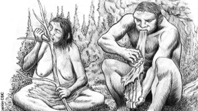 Der Milchzahn eines Verdrängungskünstlers 