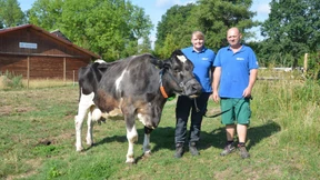 Die Uroma unter den Milchkühen