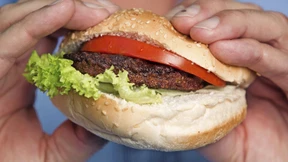 Fleisch ohne Leid und Verzicht?