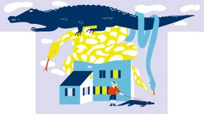 Wohnen mit Alligator