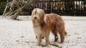 Schnee und Glätte zum Wochenstart