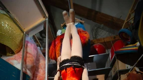 Parsifal von der Stange