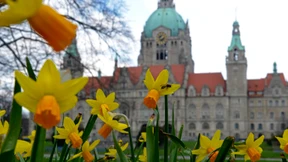 Wer will schon nach Hannover?