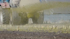 Bolsonaro schont Putin