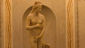 Wer hat die Venus verhüllt?