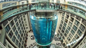 Kein neues Aquarium im Hotel geplant