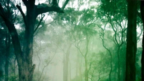 Ruhe. Ein beunruhigendes Gefühl