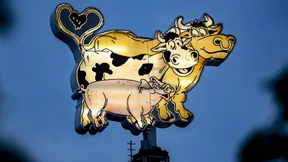 In welchen Produkten steckt Tönnies-Fleisch?