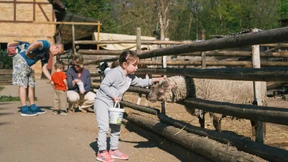 Ein Heim für nicht mehr gewollte Tiere