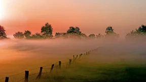 Das glücklichste Dorf Deutschlands?