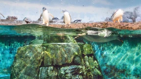 Bauen mit Bürgerkrediten 