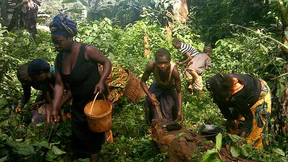 Die Wirklichkeit deutscher Entwicklungshilfe