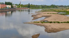 Fischsterben an der Oder sorgt für Aufregung