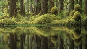 Wenn Helden sterben, dann meist aus Versehen