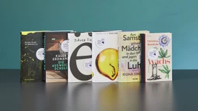 Gewalterfahrungen als Konstante