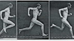 Was gibt es Neues vom nackten Affen?