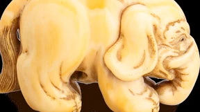 Niemals geht man so ganz