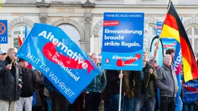 Sechs Lehren aus dem Erfolg der AfD