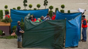 Wieder ein totes Pferd