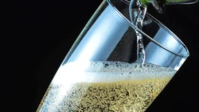 „Zum Champagner lege ich Brahms auf“