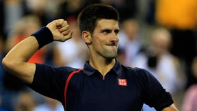 Djokovic und Ferrer im Halbfinale