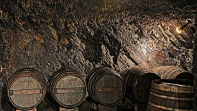 Und ewig spukt  der Weingeist