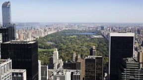 Totes Bärenjunges im Central Park gibt der Polizei Rätsel auf