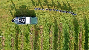 Ruhig bleiben und Schaumwein trinken