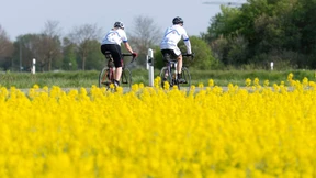 Blühende Landschaft