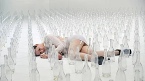 Liebesscherbentänzer im Aquarium