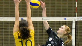 Berliner Göre von links