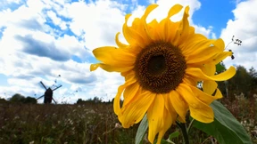 Es herbstet in Deutschland