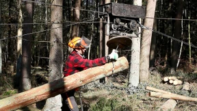 Der Holzmarkt spielt verrückt