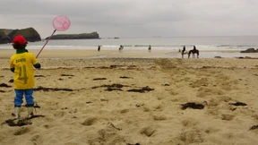 Stürmische  Begegnungen 